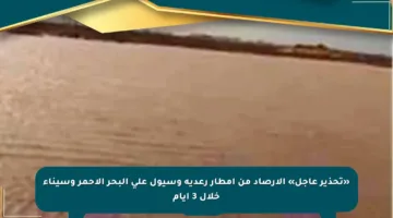 «تحذير عاجل» الأرصاد من أمطار رعدية وسيول على البحر الأحمر وسيناء خلال 3 أيام